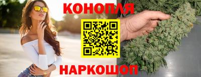 шишки Славгород