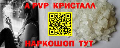 шишки Славгород