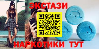 шишки Славгород