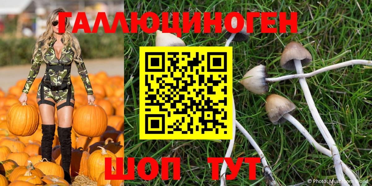 Псилоцибиновые грибы Magic Shrooms  Псилоцибиновые грибы MAGIC MUSHROOMS  Ногинск  Вход с VPN 